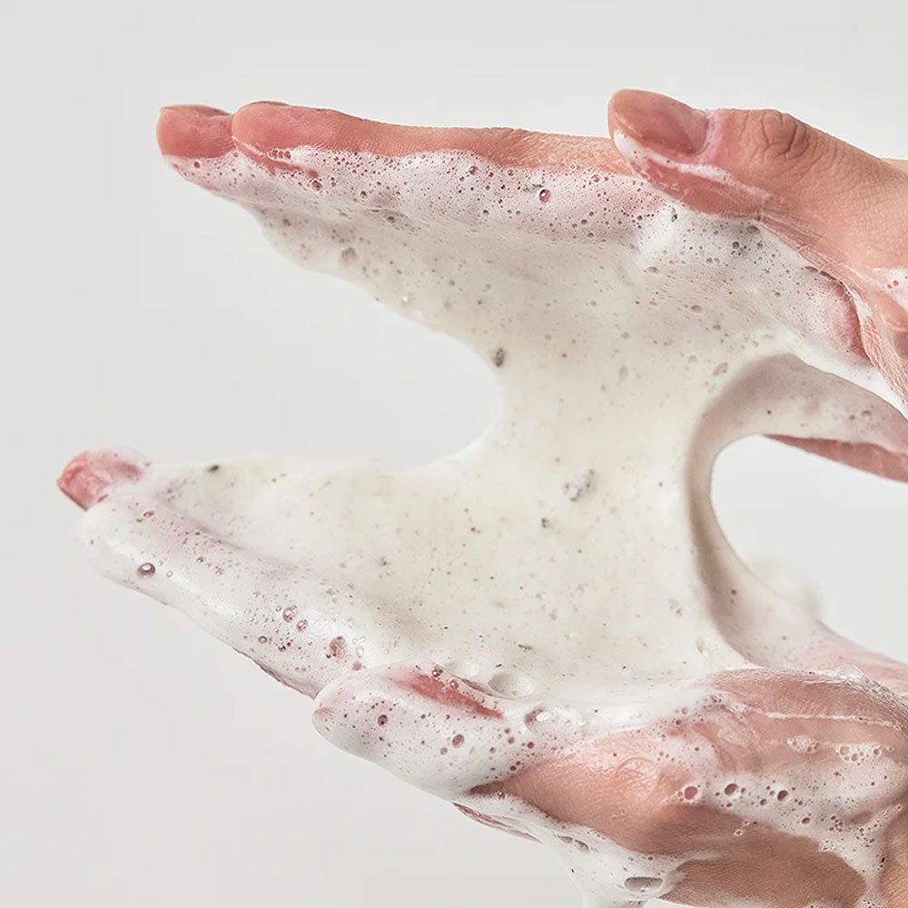 Heartleaf Quercetinol Pore Deep Cleansing Foam - Day to Joah