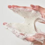 Heartleaf Quercetinol Pore Deep Cleansing Foam - Day to Joah